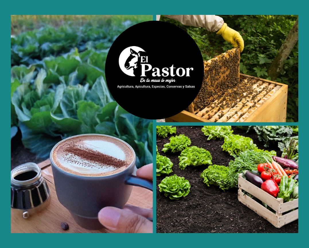 Proyecto agroindustrial